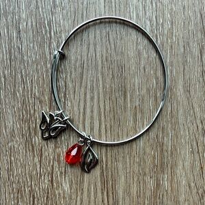 Alex and Ani Silver Bracelet with Red Charm